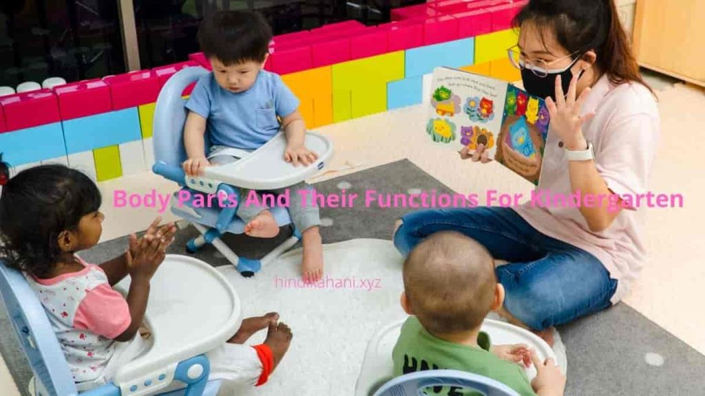 Body Parts And Their Functions For Kindergarten