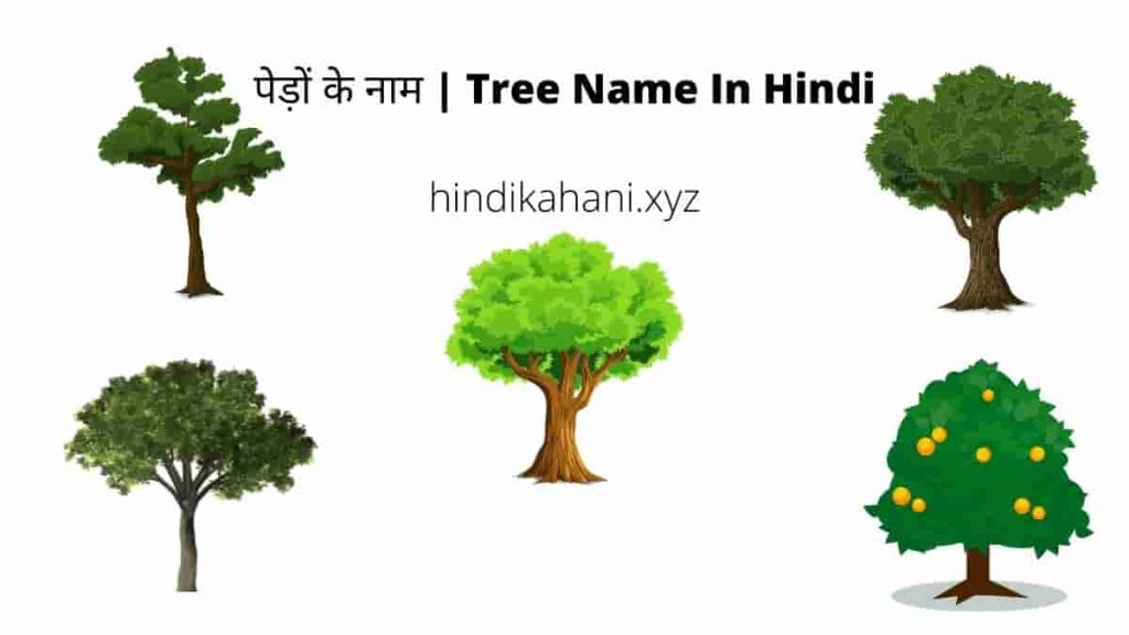 Tree Name In Hindi