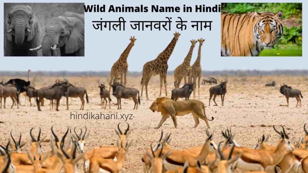 Wild Animals Name In Hindi | जंगली जानवरों के नाम | Hindi Kahani