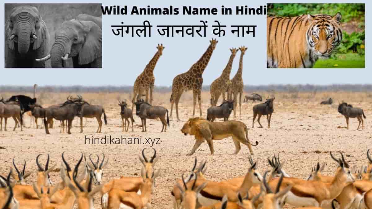 Wild Animals Name In Hindi | जंगली जानवरों के नाम | Hindi Kahani Wild Animals Name In Hindi | जंगली जानवरों के नाम | Hindi Kahani