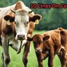 10 Lines On Cow In Hindi