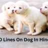 10 Lines On Dog In Hindi