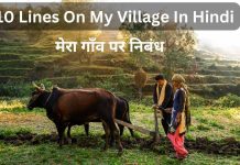 10 Lines On My Village In Hindi 10 Lines On My Village