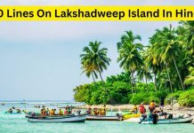 10 Lines On Lakshadweep Island In Hindi 10 Lines On Lakshadweep Island In Hindi