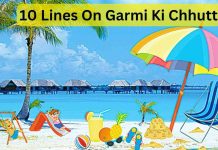 10 Lines On Garmi Ki Chhutti | 10 लाइंस ऑन गर्मी की छुट्टी 10 Lines On Garmi Ki Chhutti