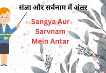 संज्ञा और सर्वनाम में अंतर | Sangya Aur Sarvnam Mein Antar Sangya Aur Sarvnam Mein Antar